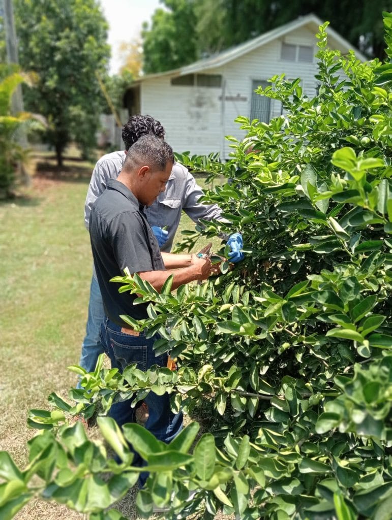 REPSA refuerza su compromiso con los productores a través de capacitación especializada WhatsApp Image 2025 05 22 at 4.49.47 PM