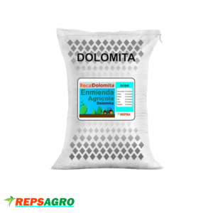 Recal Dolomita Repsa