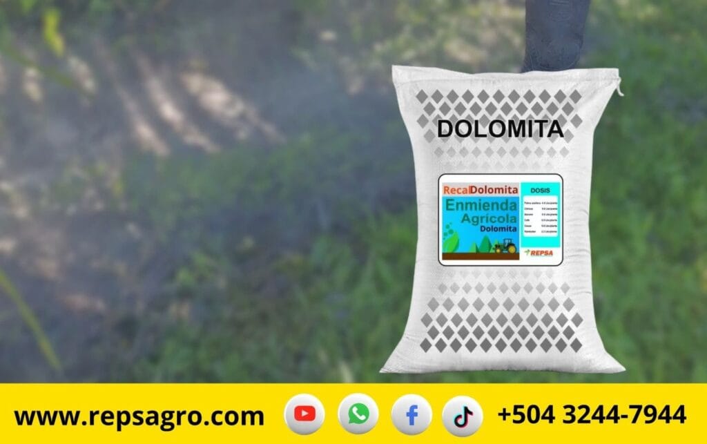 Recal Dolomita y Recal Plus de REPSA para Recuperar la fertilidad del Suelo